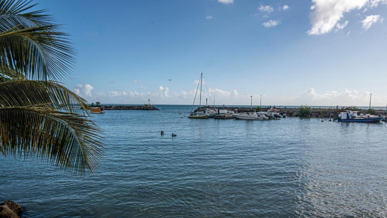 Superbe Studio A La Baie Des Pélicans Le Gosier  Extérieur photo